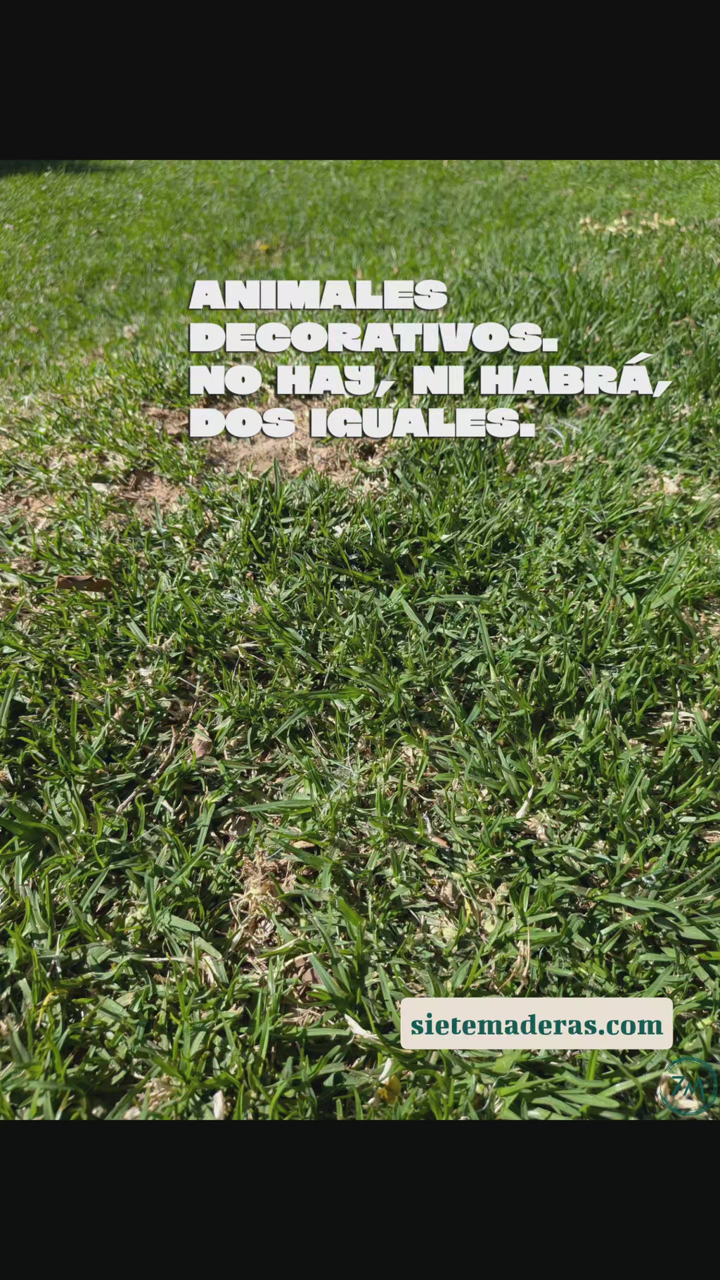 Colección de figuras decorativas de animales hechos a mano en madera por Siete Maderas en su taller de Málaga.